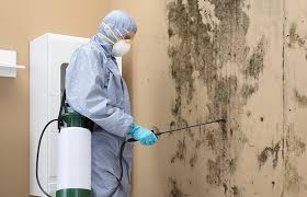 Mold Remediation for Rental Properties in Sherwood, OH